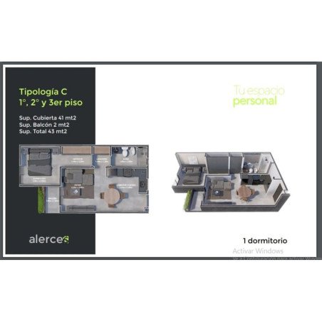 VENTA DEPTO PUEYRREDON ALERCES 11