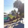 VENDE LOTE EN BARRIO PARQUE REPUBLICA CORDOBA