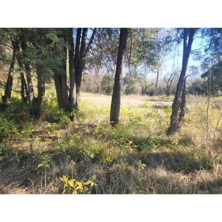 VENTA TERRENO 4014 MTS VILLA EUCARISTICA