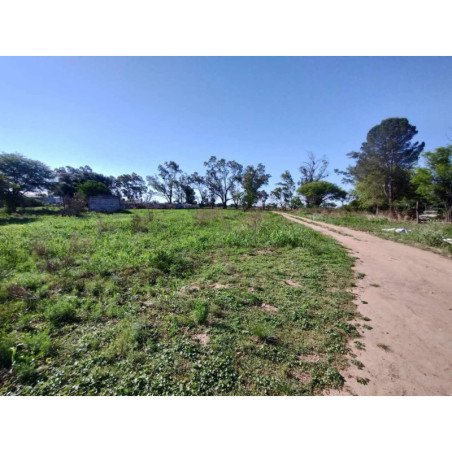 LOTE DE TERRENO DE 5016 M2. EN ZONA SUR CAT. 4B