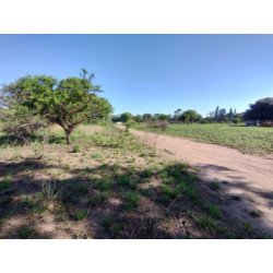 LOTE DE TERRENO DE 5016 M2. EN ZONA SUR CAT. 4B