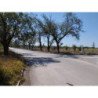 Lote patrón industrial 4b con financiación