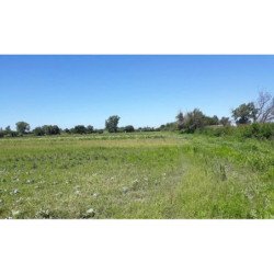 VENTA LOTE EN GUIÑAZU 5HA Y FRACCION