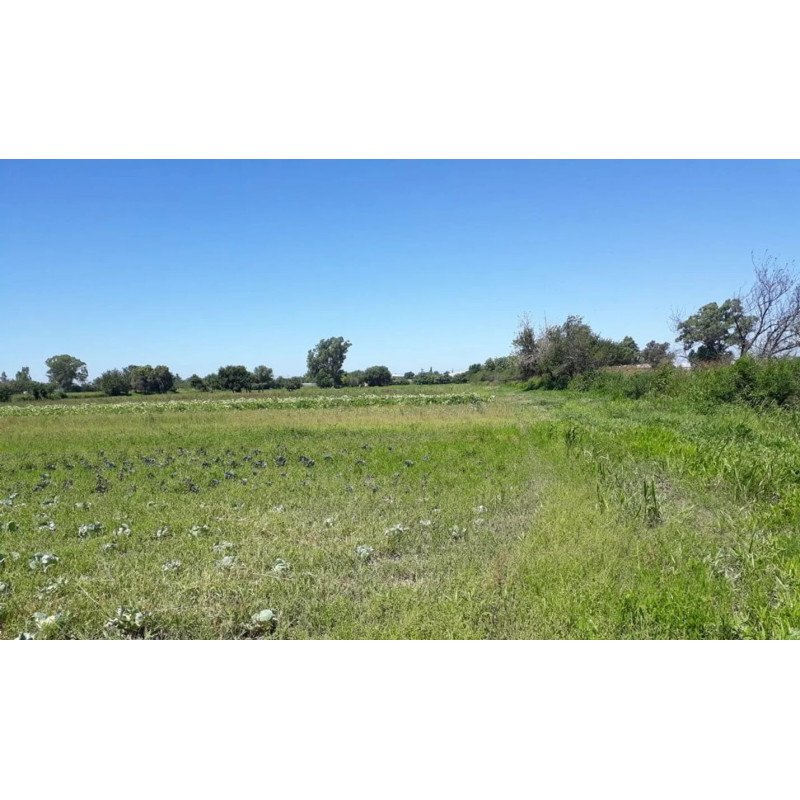 VENTA LOTE EN GUIÑAZU 5HA Y FRACCION