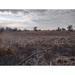 VENTA LOTE EN GUIÑAZU 5HA Y FRACCION