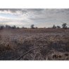 VENTA LOTE EN GUIÑAZU 5HA Y FRACCION