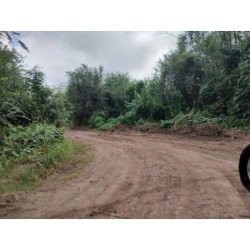 VENTA LOTE EN GUIÑAZU 5HA Y FRACCION