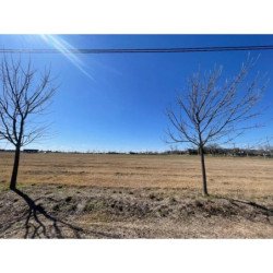 VENTA LOTE BARRIO TERRANOSTRA - 1682 M2 - ZONA SUR