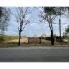VENTA LOTE QUINTAS DE ITALIA I - 2500 M2
