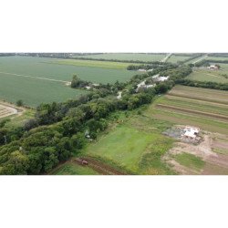 VENTA CAMPO DE 11 HA. CAMINO SAN CARLOS ZONA SUR