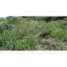 VENTA LOTE 700MT,VILLA DEL LAGO CARLOS PAZ CORDOBA
