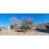 SE VENDE TERRENO EN VILLA DEL LAGO