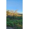 VENTA LOTES 1600,96m² en BIALET MASSE, CORDOBA.