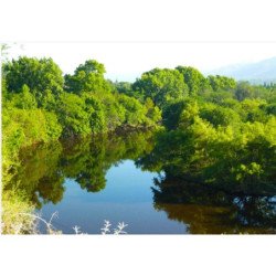 LOTE 800M² en BIALET MASSE, CORDOBA. OPORTUNIDAD!