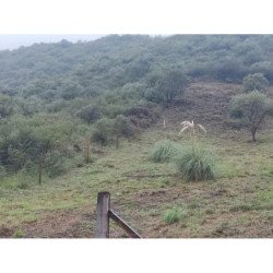 TERRENO DE 1200 MTS EN TERRAZAS DE BIALET MASSE