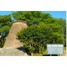 LOTE 800M² en BIALET MASSE, CORDOBA. OPORTUNIDAD!