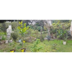CASA EN VENTA PARA REFACCIONAR EN LA CALERA