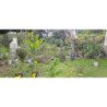 CASA EN VENTA PARA REFACCIONAR EN LA CALERA